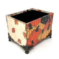 Desktop Oracle box- Pumpkin Patch Kitty