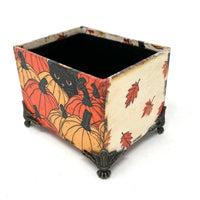 Desktop Oracle box- Pumpkin Patch Kitty