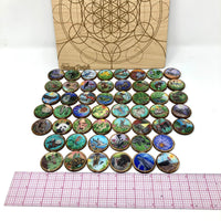 Tiny Sawyer's Nature Portal Oracle Tiles