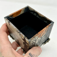 Coffret de tarot de bureau - Scène de la forêt des sorcières