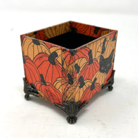 Desktop Tarot box- Pumpkin Patch Kitty