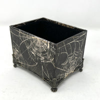 Desktop Oracle box- Spiderwebs